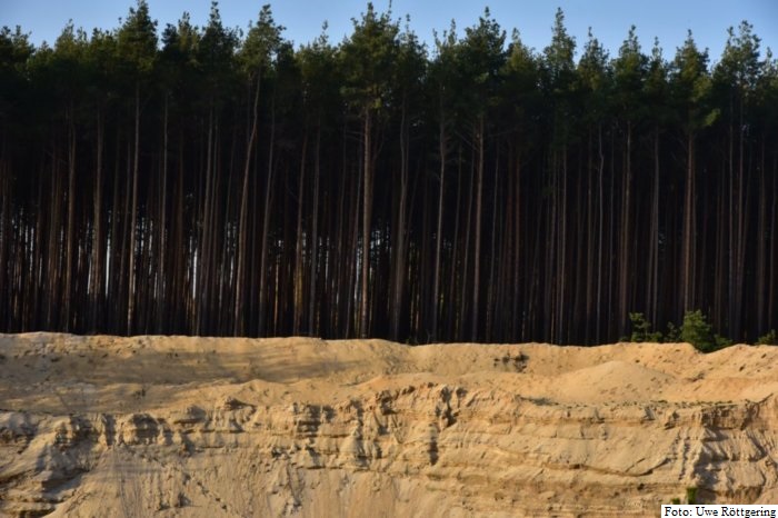 Wald hinter einer Grube; Foto: Uwe Röttgering